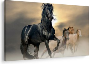 Kép - Lovak (90x60 cm)