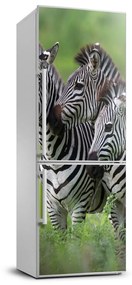 Matrica hűtőre Három zebrák FridgeStick-70x190-f-48214640