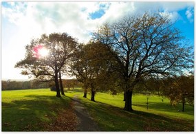 Poszterek 185x125 Őszi tájkép