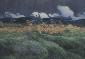 Fotótapéta Fali ragasztó szett Felfújható fű 312x219 Ragasztó