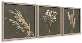 Kép szett 3 db-os 30x30 cm Pampas – Styler
