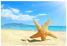 Fotótapéta tengeri csillag Beach 104x70 cm