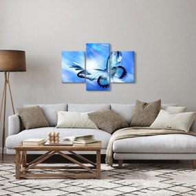Kép - Pillangó, a remény szimbóluma (90x60 cm)