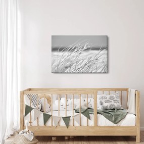 Kép - Strandfű (90x60 cm)
