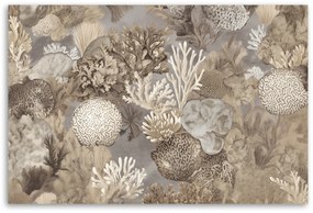 Gario Vászonkép Tengeri állatok és korallok Méret: 100 x 70 cm
