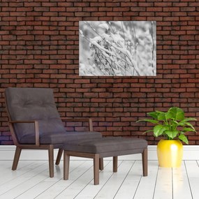 Kép - Havas ágak (70x50 cm)