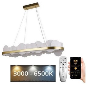 NEDES LED Dimmelhető csillár zsinóron LED/50W/230V 3000-6500K arany + távirányítás ND3525