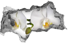 Fali matrica lyuk a falban Orchidea nd-b-103920801