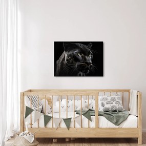 Kép - Fekete Párduc (70x50 cm)