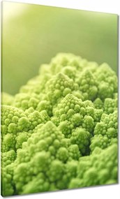 Festmények 70x100 Konyhai képek Forradalmak