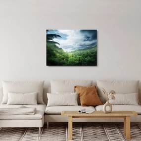 Kép - Seychelle-szigetek, dzsungel (üvegen) (70x50 cm)