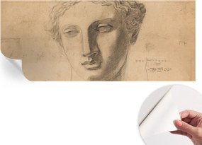 Öntapadós Dekoratív Fotótapéta Hálószobába Női portré 250x104 cm