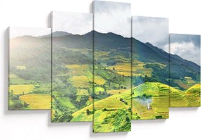 Ültetvények képe (150x105 cm)