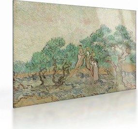 Üveg kép - Vincent van Gogh, The Olive Orchard, reprodukciók (70x50 cm)