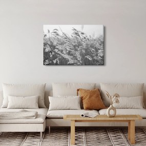 Kép - Fű a szélben (90x60 cm)