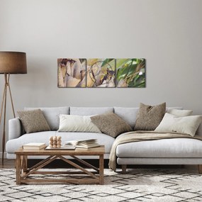 Mókus képe a fán (órával) (90x30 cm)