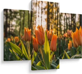 Narancssárga tulipán képe (90x60 cm)