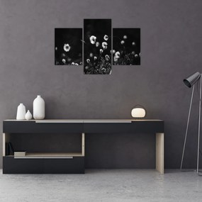 Kép - Gyapotfűvel borított rét N⁰1 (90x60 cm)