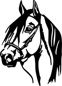 Fém fali dekoráció, horse, 40x55 cm