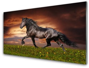 Üvegkép Black Horse Meadow Állatok 120x60cm