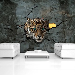 Fotótapéta - Jaguar egy fal mögött (152,5x104 cm)