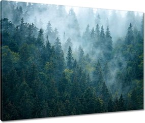 Vászonkép 80x60 Erdő a ködben Utazás