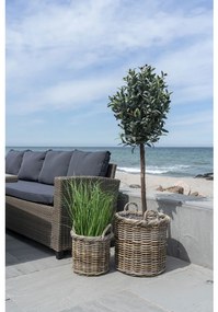 Gili Kosarak kubu rattan, natúr 2 db