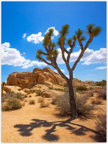 Poszterek 30x40 Sivatagi táj