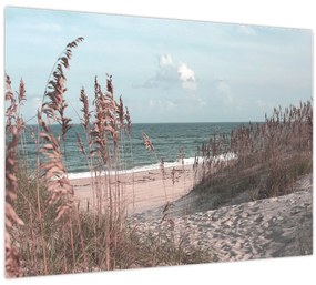 Üveg kép - Rózsaszín strand (70x50 cm)