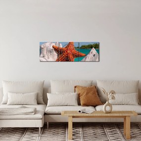 Egy tengeri csillag képe (órával) (90x30 cm)