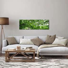 Kép - Kilátás a fák tetejére (órával) (90x30 cm)