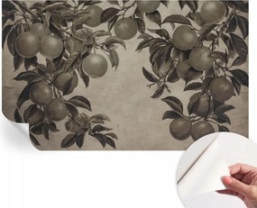Öntapadós Dekoratív Fotótapéta Hálószobába Gyümölcsös minta 416x254 cm