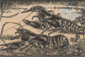 Flizelin fotótapéta Flizelin Design Vízi rákok 104x70 Ragasztó