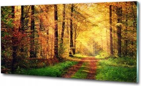 Fotó kép edzett üveg Levendula mező 125x50