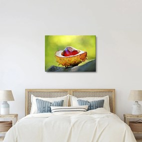 Gesztenye képe (70x50 cm)