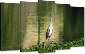 Vászonkép 100x60 Kalapos madár Tájkép Kilátás