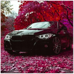 Poszterek 30x30 Fekete Bmw Ősz