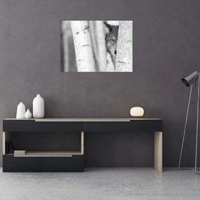 Üveg kép - Farkas az erdőben (70x50 cm)