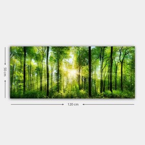Vászonkép, 50×120 cm – TR451ERN1457