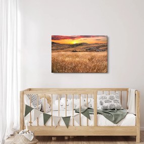 Mező képe (90x60 cm)