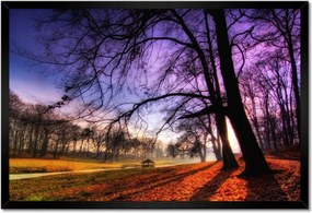 Poszterek keretben 60x40 Bajusz park