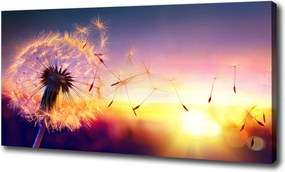 Canvas falikép Pitypang 120x60 cm