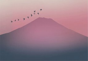 Flizelina fotótapéta Nappaliba és Hálószobába Hegyi nyugat 312x219 Ragasztó