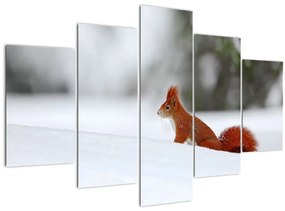 Egy mókus képe (150x105 cm)