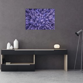 Havas fák képe (70x50 cm)