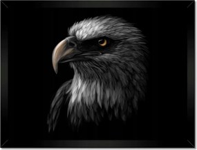 Poszter keretben 40x30 Sas Fehér madár sas