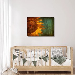 Kép - napraforgó (üvegen) (70x50 cm)