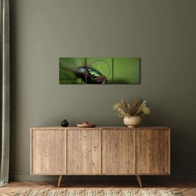 Kép - Légy (órával) (90x30 cm)