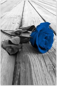 Poszterek 80x120 Kék rózsa a deszkákon