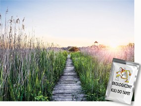 Fotótapéta Flizelina Tájkép Bozót Fű Ösvény 350x250 ragasztó